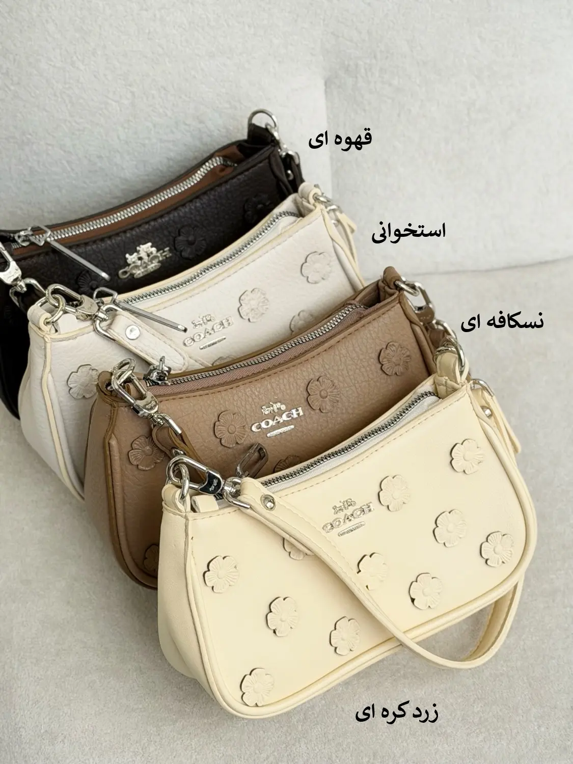 6814-کیف کوچ بابونه